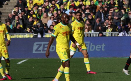 Sept joueurs du FC Nantes retenus avec leur sélection