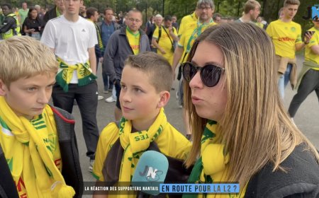 Les supporters nantais désabusés après la nouvelle claque reçue face à Montpellier