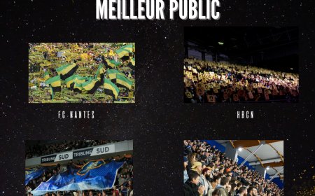 Qui sera élu meilleur public de l'année ?