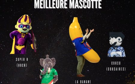 Qui sera élue meilleure mascotte de l'année ?