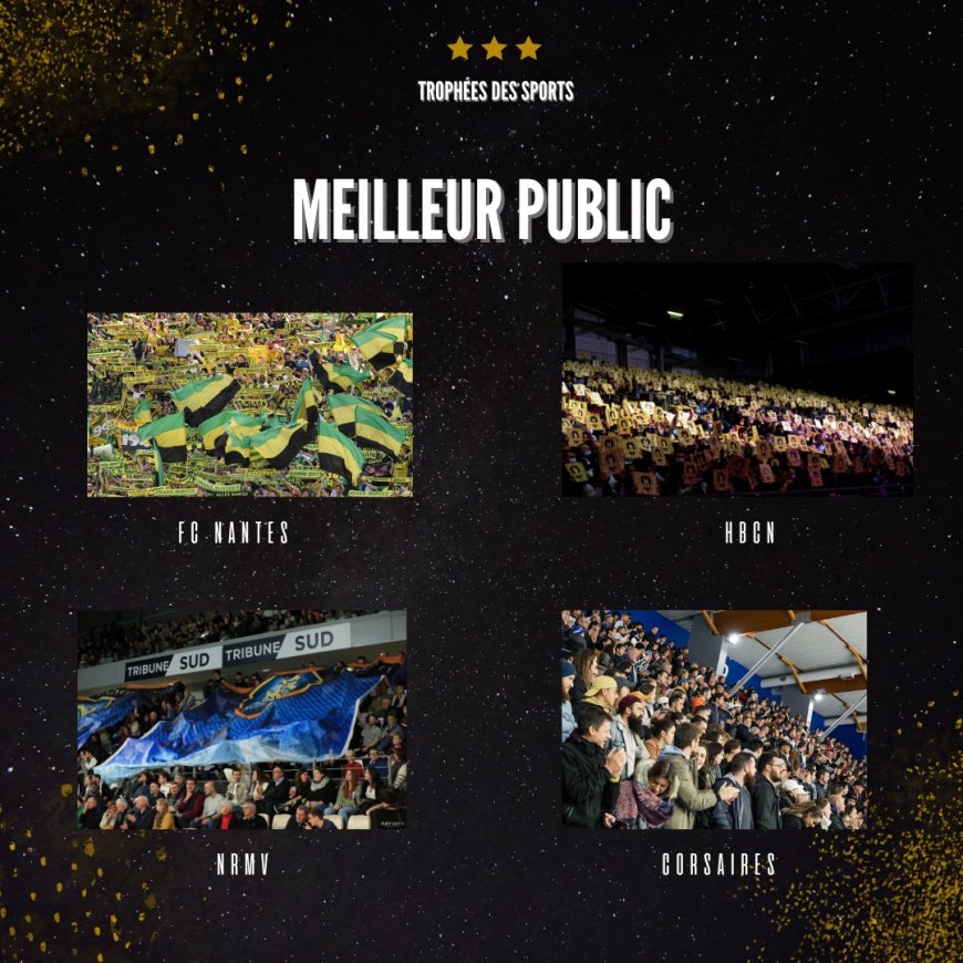 Qui sera élu meilleur public de l'année ?