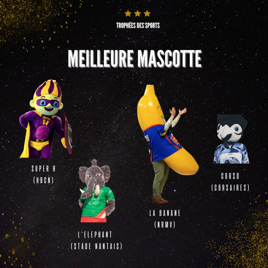 Qui sera élue meilleure mascotte de l'année ?