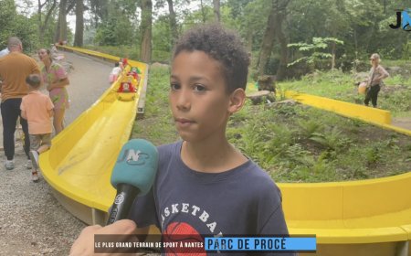 Le Parc de Procé : le plus grand terrain de sport à Nantes