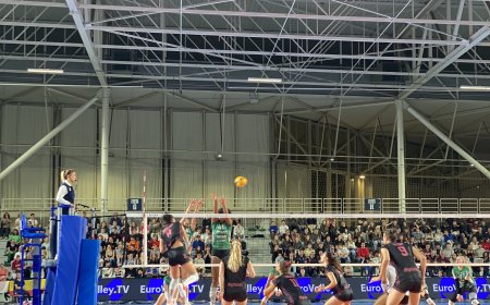 Neptunes Nantes Volley 3-0 Pöllky Kuusamo (CEV Challenge Cup) : Les  Neptunes se qualifient avec brio à domicile