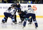 Hockey-sur-glace. D1 : Les Corsaires de Nantes sont sur le podium