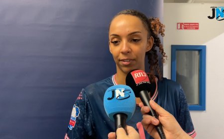 Neptunes 45 - 31 Toulon (LFH - Journée 14) Festival offensif des Nantaises qui dominent le TMV !