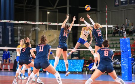 Coupe de France : Volley-ball : Les Neptunes sur tous les fronts