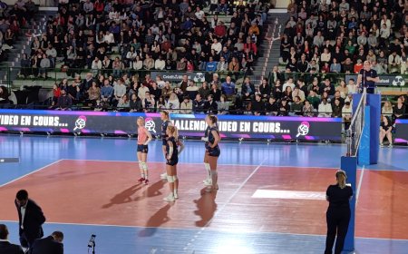 Volley-ball : Coupe de France Féminine : Les Neptunes qualifiées haut la main en demi-finale