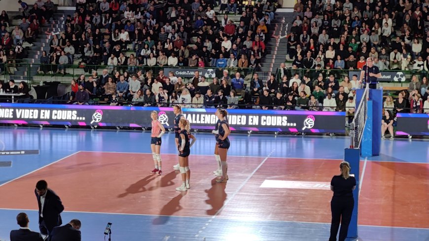 Volley-ball : Coupe de France Féminine : Les Neptunes qualifiées haut la main en demi-finale