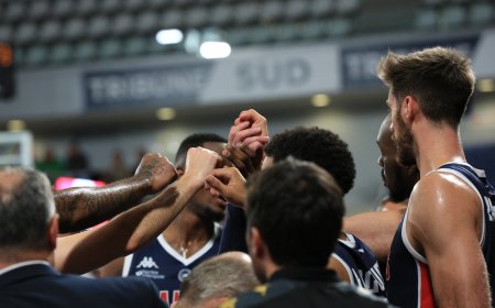 Basket-ball : Nantes Basket Hermine : près du but, mais encore battu