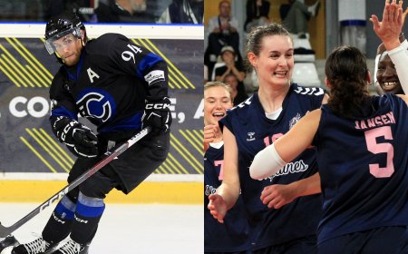 Résilience et succès : ces deux clubs nantais brillent malgré les obstacles